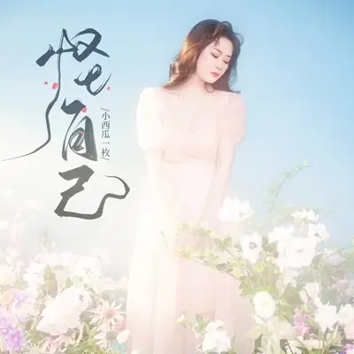 怪自己 (DJ花哨版)封面