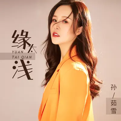 缘太浅 (DJ花哨版)封面