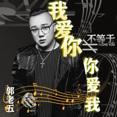 我爱你不等于你爱我(伴奏)封面