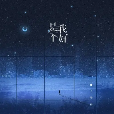 是我不好（完整版）封面