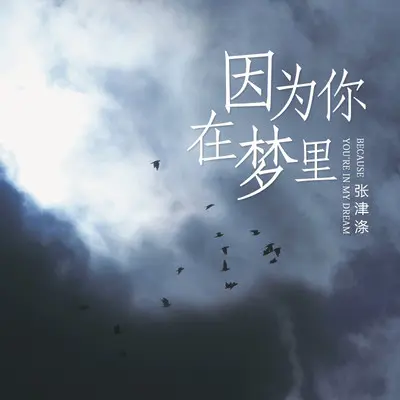 因为你在梦里封面