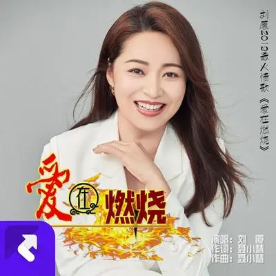 爱在燃烧-DJ何鹏版(伴奏)封面