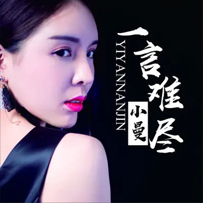 一言难尽封面