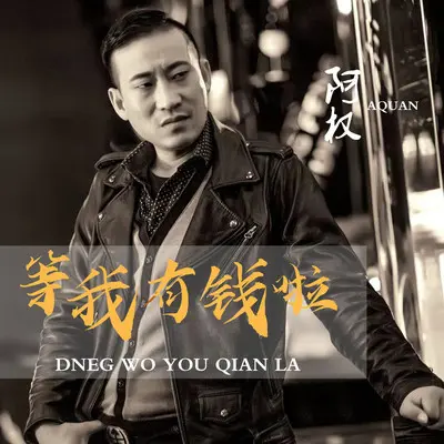 等我有钱啦 (DJ版) - 阿权封面