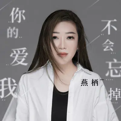 你的爱我不会忘掉封面