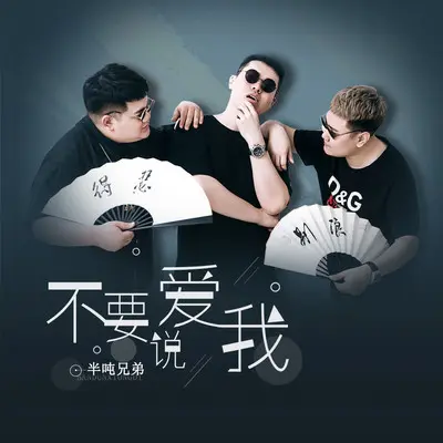 不要说爱我 (伴奏)封面