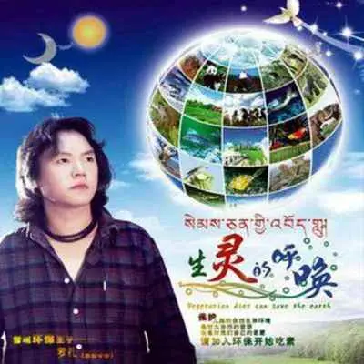 思念的鹰封面