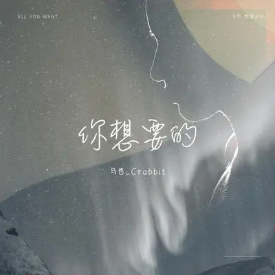 你想要的封面