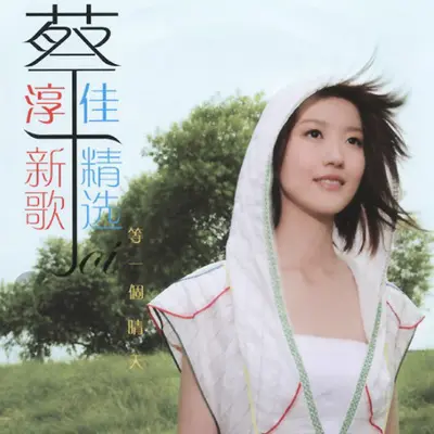 永远的愚人封面