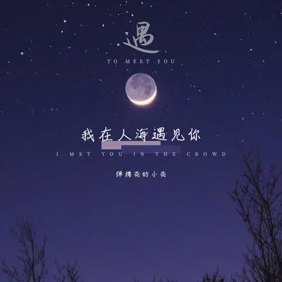 我在人海遇见你(无独白版)(无独白版)封面