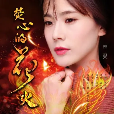 焚心的花火封面
