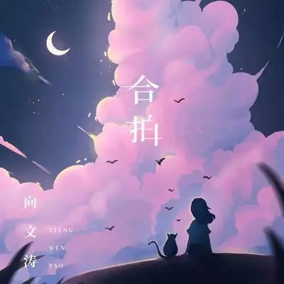 合拍封面