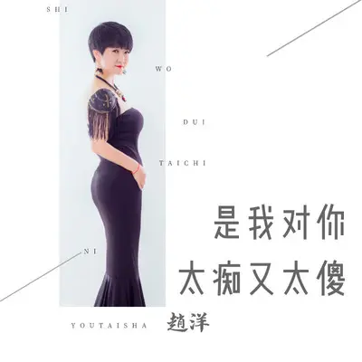 是我对你太痴又太傻（DJ版）封面