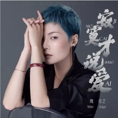 寂寞才说爱封面