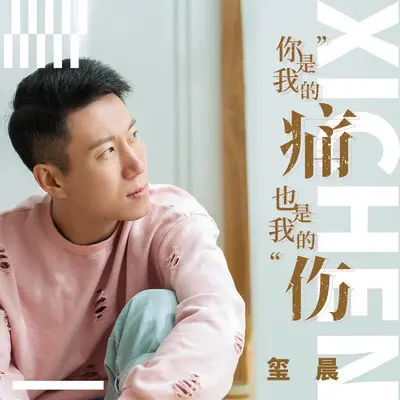 你是我的痛也是我的伤(伴奏)封面