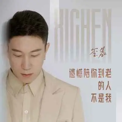 遗憾陪你到老的人不是我(DJ茅太版)封面
