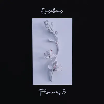 Lily - Eusebius / Baptiste Trotignon封面