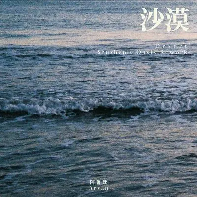 这里那里 (D & the Compass' Translucent Rework)（专辑版）封面