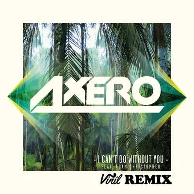 I Can't Do Without You (Vinil Remix)封面