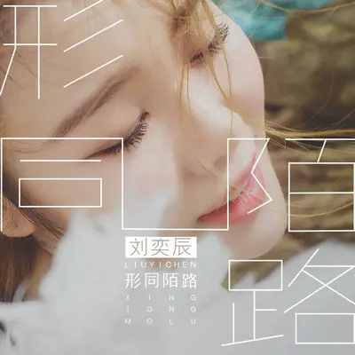 形同陌路(伴奏)封面