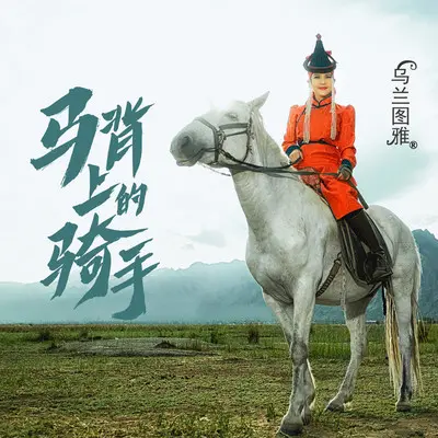 马背上的骑手封面