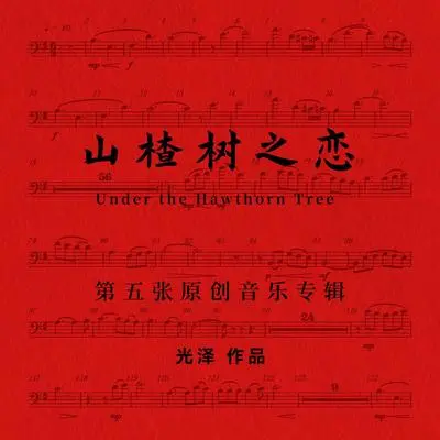 山楂树之恋封面