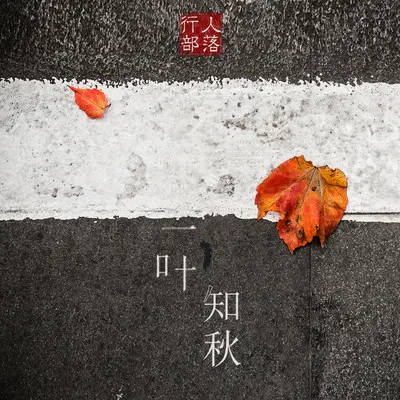 一叶知秋（完整版）封面