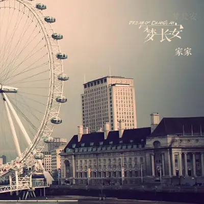 梦长安 (伴奏) - 家家封面