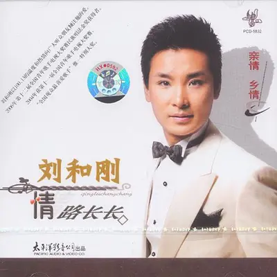姐姐封面
