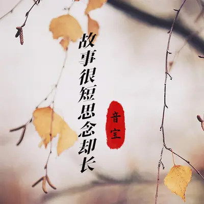 故事很短思念却长封面