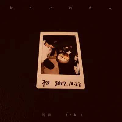无名高地 (电视剧《穿越人海拥抱你》插曲) - 回音哥封面