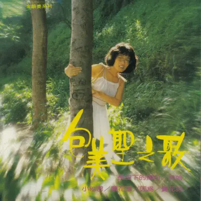 长空下的独白 - 包美圣封面