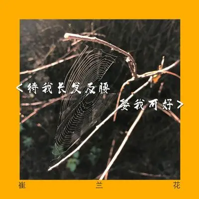 橡树 - 崔兰花封面