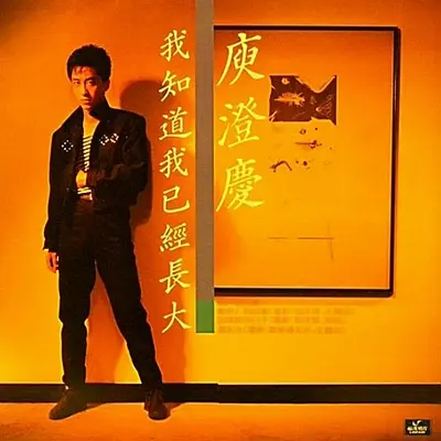 我知道我已经长大 (电影《报告班长》主题曲)封面