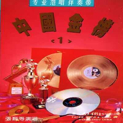 等你一万年封面