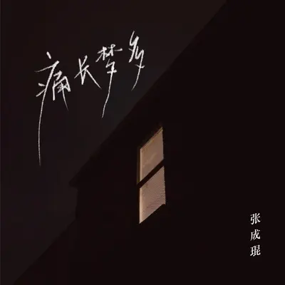 痛长梦多封面