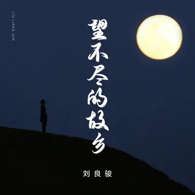 望不尽的故乡(伴奏) - 刘良骏封面