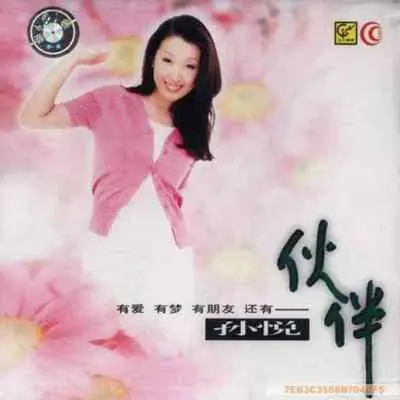 我是你的几分之几 - 孙悦封面