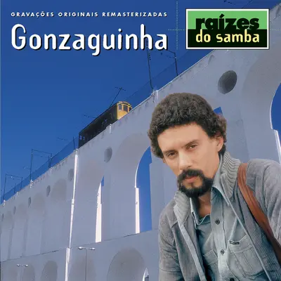 Ponto De Interrogacao - Gonzaguinha封面