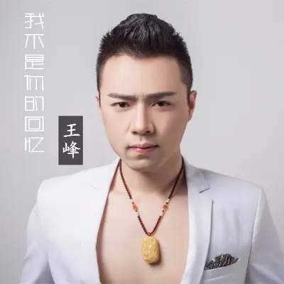 我不是你的回忆(伴奏)封面