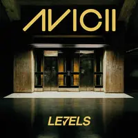 Levels(Instrumental Radio Edit)