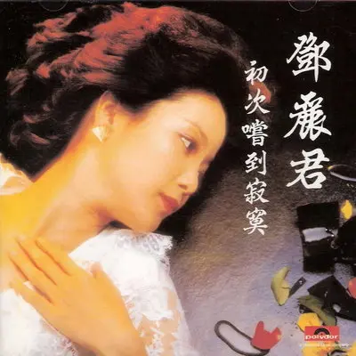 唱歌的人封面