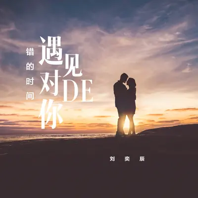 错的时间遇见对的你封面
