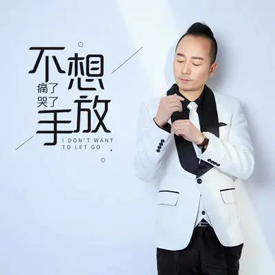 痛了哭了不想放手封面