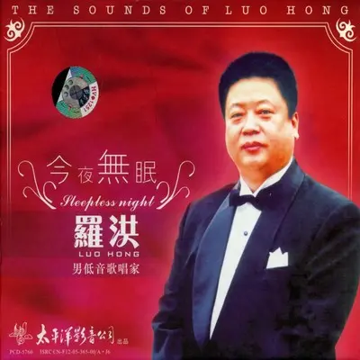 同一首歌 - 罗洪封面