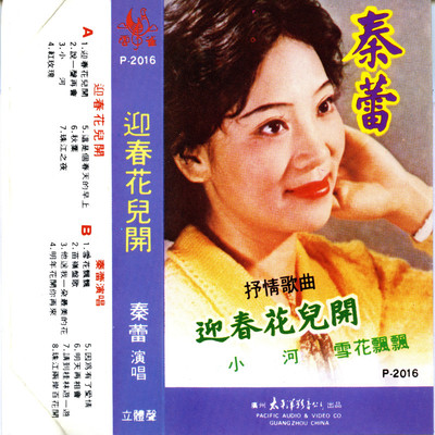 红玫瑰封面