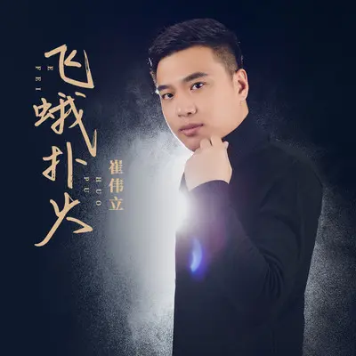 飞蛾扑火(伴奏)封面