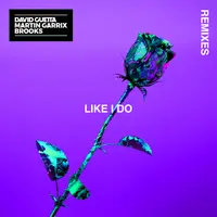 Like I Do (Foxa And Conor Ross Remix)