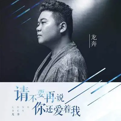 请不要再说你还爱着我 (DJ版) - 龙奔封面
