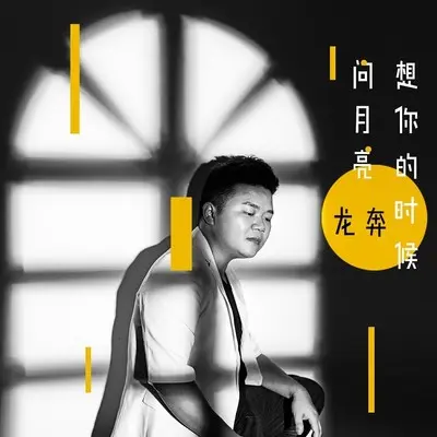 想你的时候问月亮封面